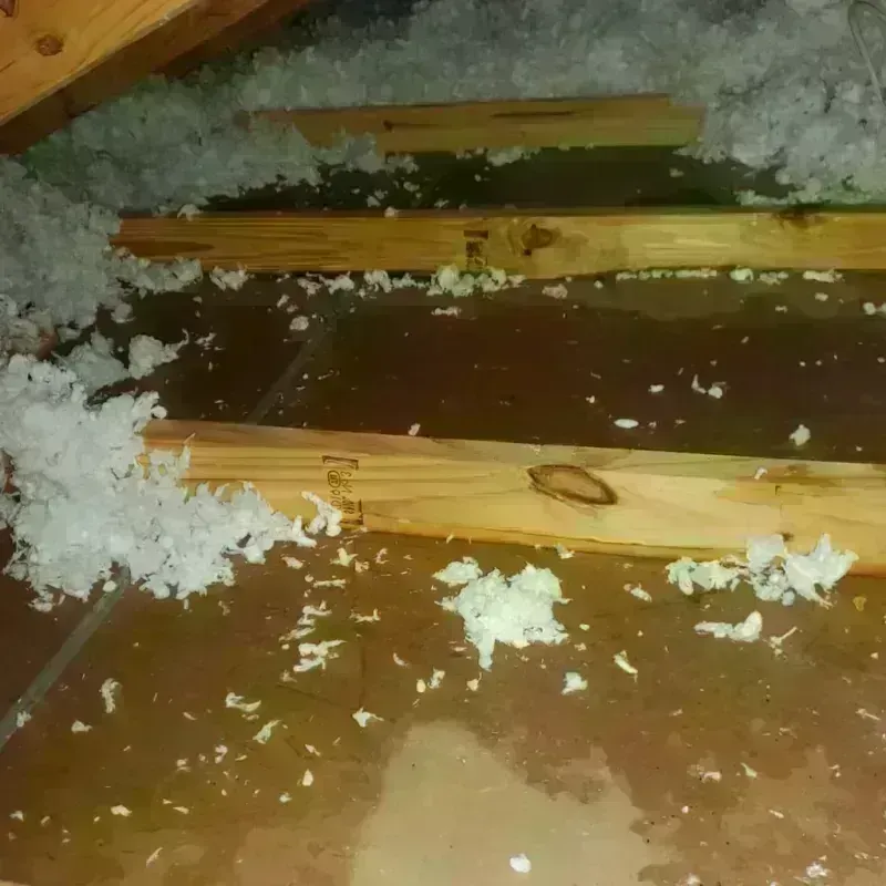 Attic Water Damage in Serenada, TX