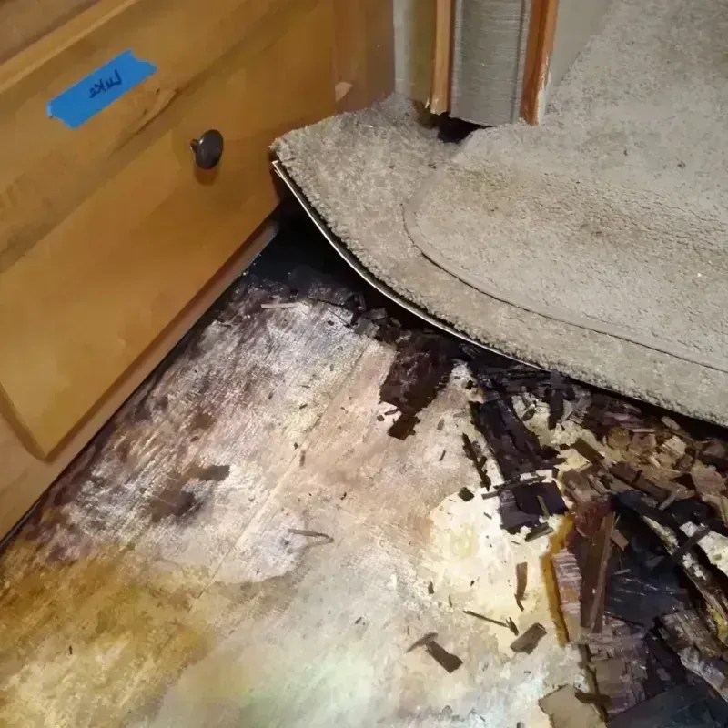 Wood Floor Water Damage in Serenada, TX